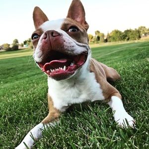 Meet your Posher, Kelsey